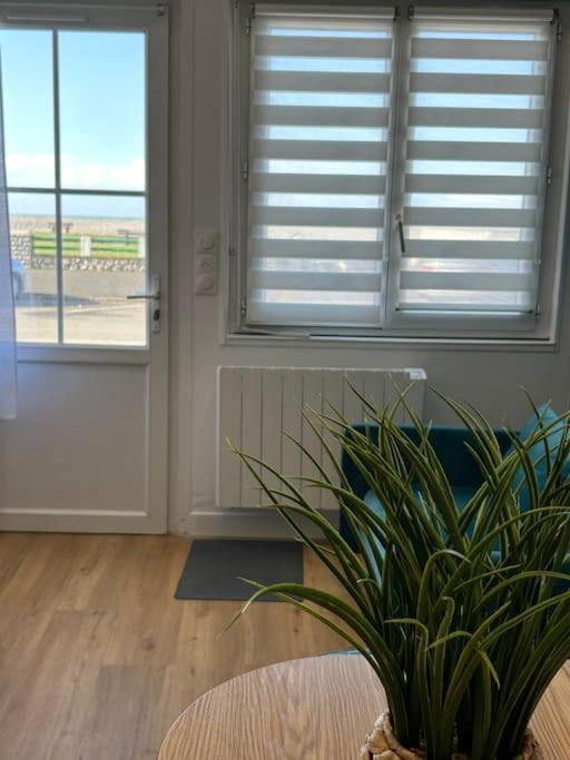 קאיו סור מר Appartement Macoco Front De Mer מראה חיצוני תמונה